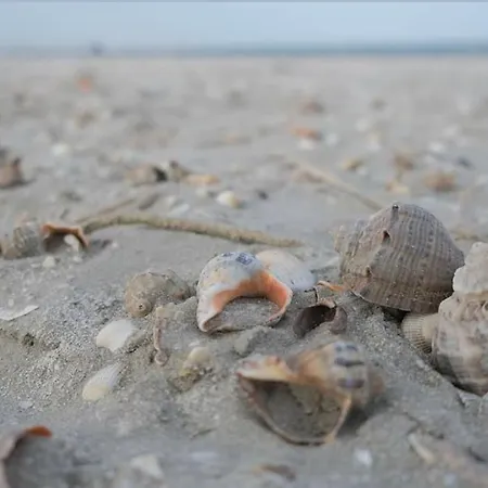 아파트 Panoramis By The Sea Năvodari